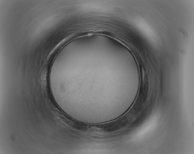 X0000113350387200910061023