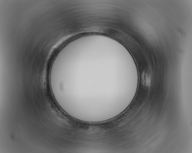 X0000113350388200910061023