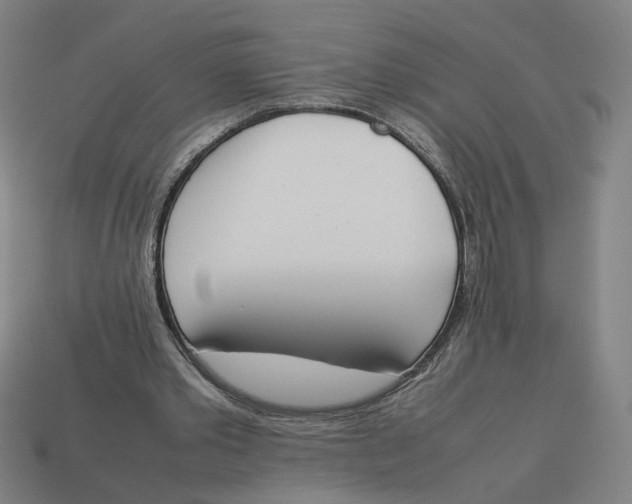 X0000113350389200910061023