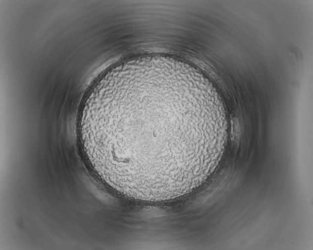 X0000113350390200910061023