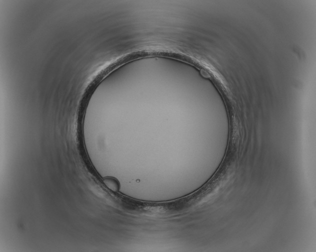 X0000113350391200910061023