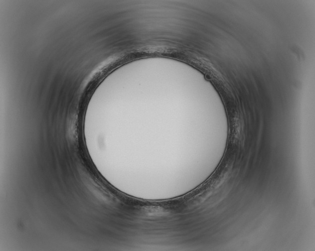 X0000113350392200910061023