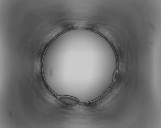 X0000113350393200910061023