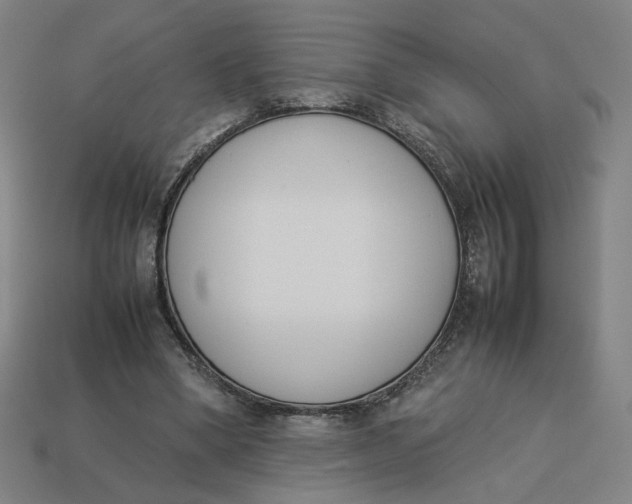 X0000113350394200910061023