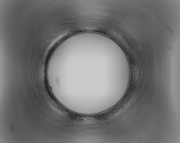 X0000113350395200910061023