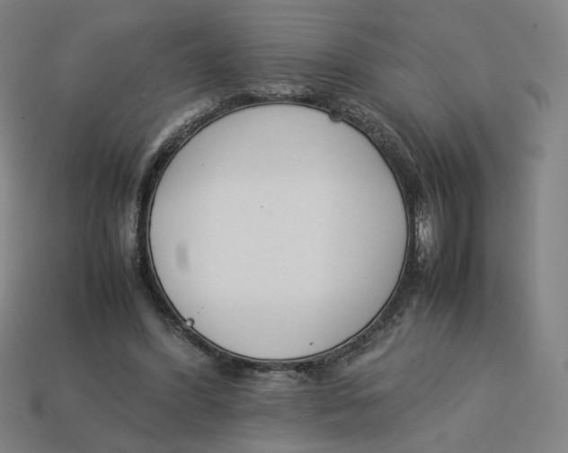 X0000113350396200910061023