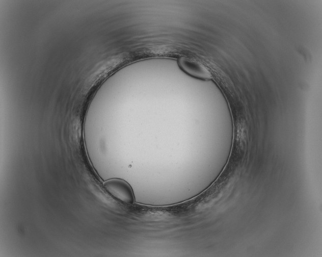 X0000113350397200910061023