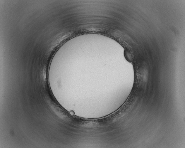 X0000113350398200910061023