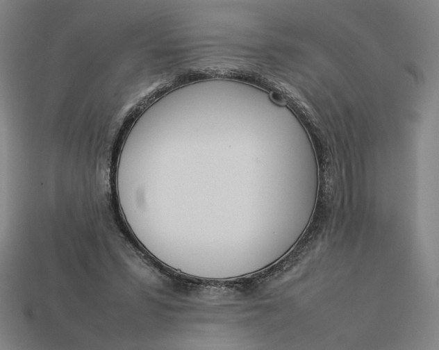 X0000113350399200910061023