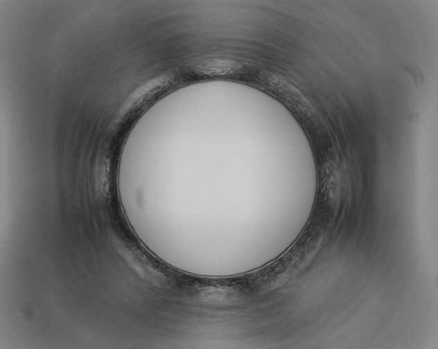 X0000113350400200910061023