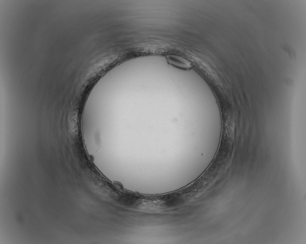 X0000113350403200910061023