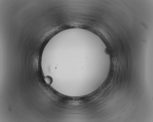 X0000113350404200910061023