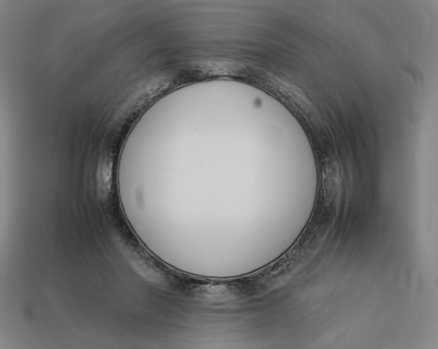 X0000113350406200910061023