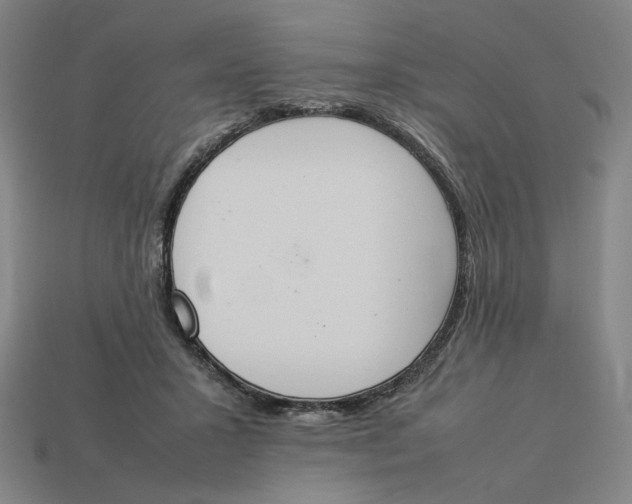 X0000113350407200910061023