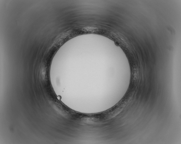 X0000113350408200910061023