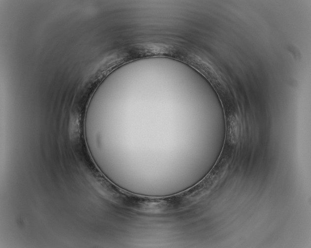 X0000113350410200910061023