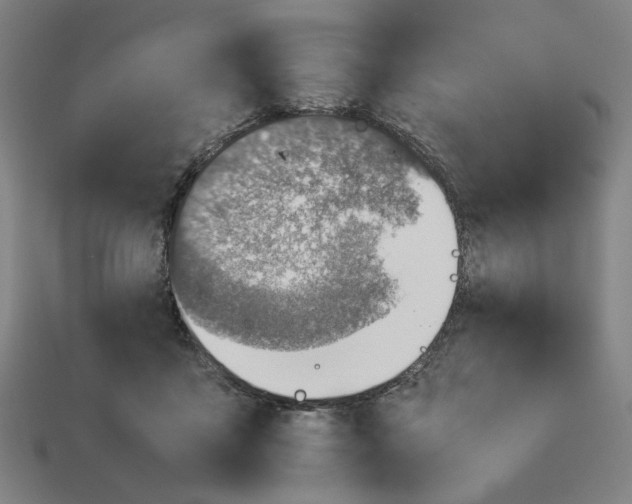 X0000113350411200910061023