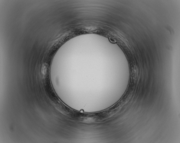 X0000113350412200910061023