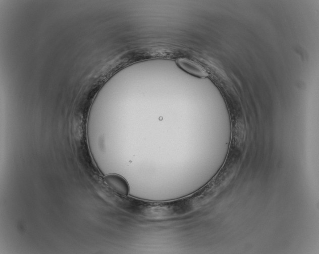 X0000113350413200910061023