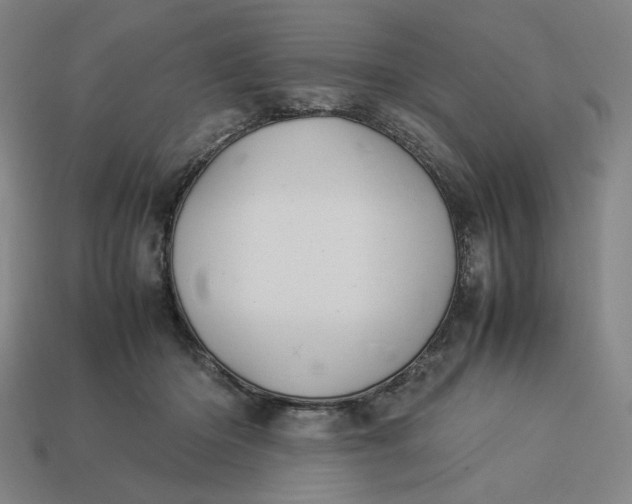 X0000113350414200910061022