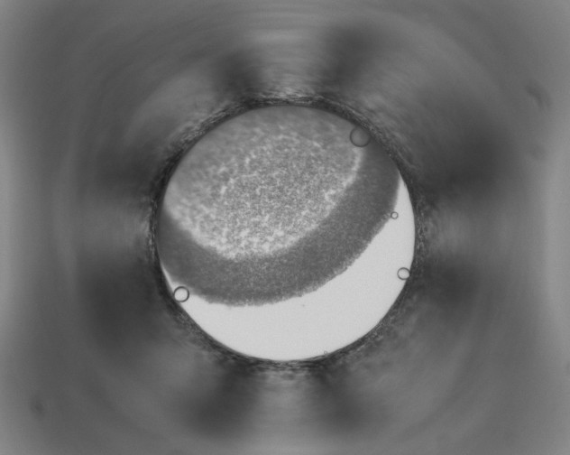 X0000113350415200910061022