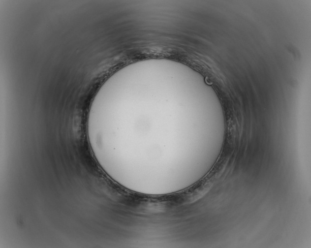 X0000113350416200910061022