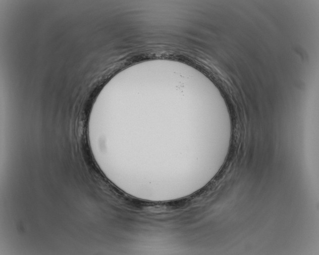 X0000113350417200910061022