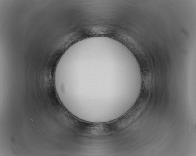 X0000113350418200910061022