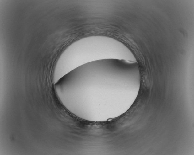 X0000113350419200910061022