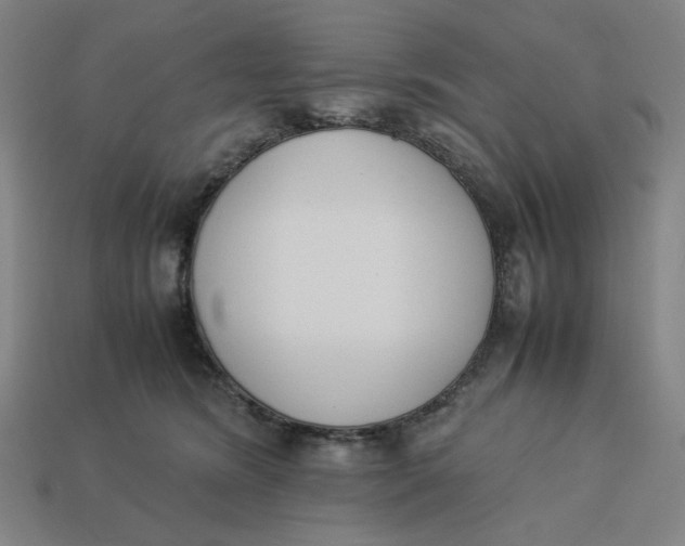 X0000113350420200910061022