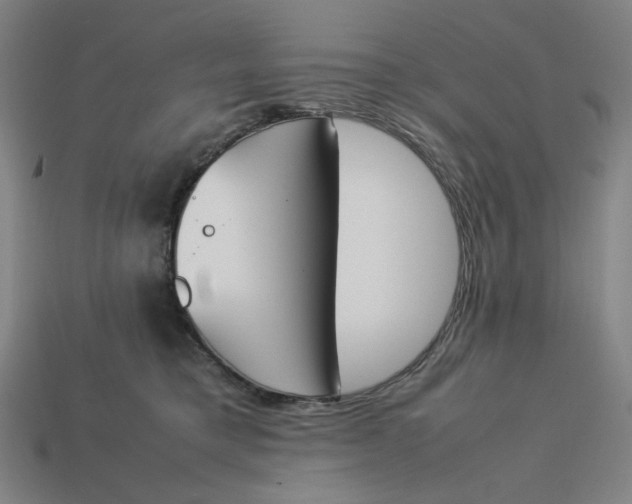 X0000113350421200910061022