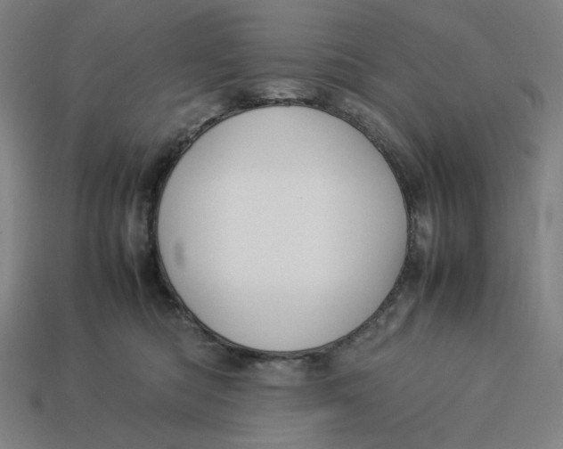 X0000113350422200910061022