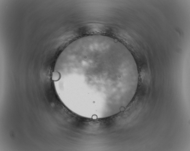 X0000113350423200910061022