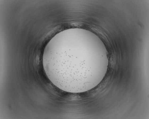 X0000113350424200910061022