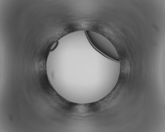 X0000113350425200910061022