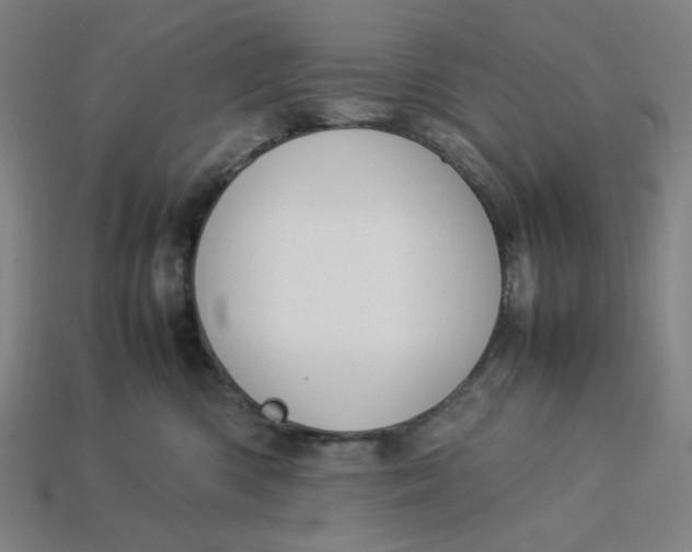 X0000113350426200910061022