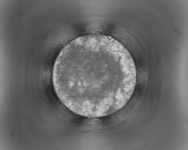 X0000113350427200910061022