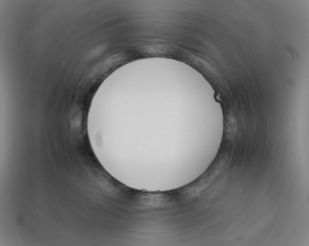 X0000113350428200910061022