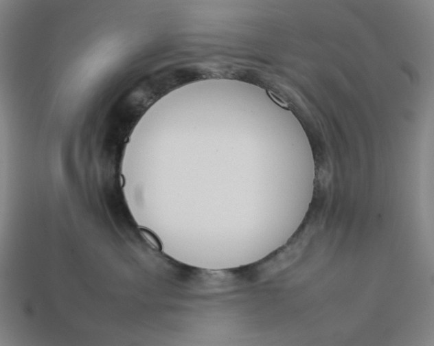 X0000113350429200910061022