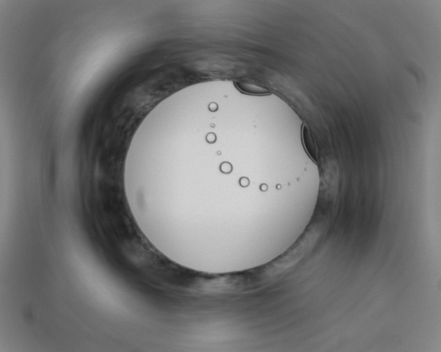 X0000113350430200910061022