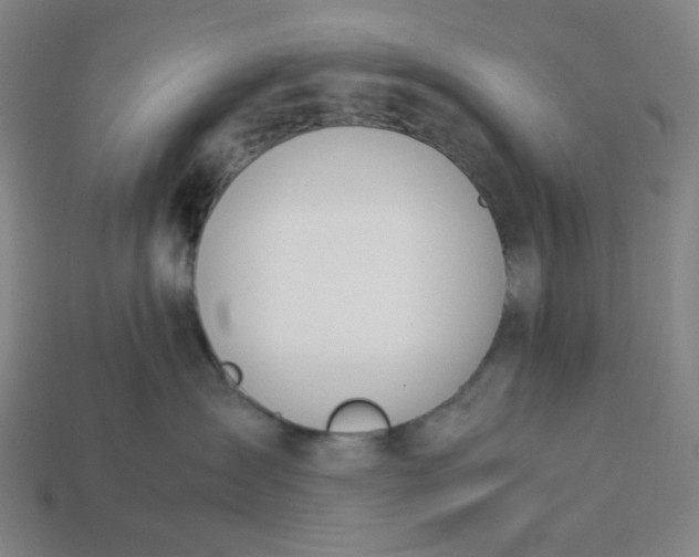 X0000113350431200910061022