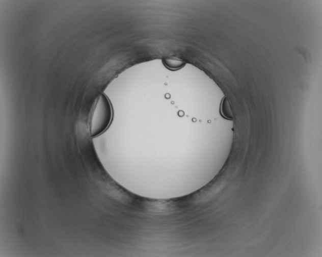 X0000113350432200910061022