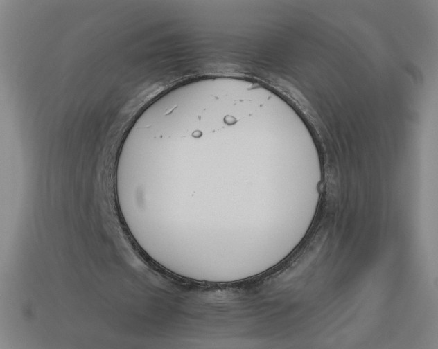 X0000113350433200910061022