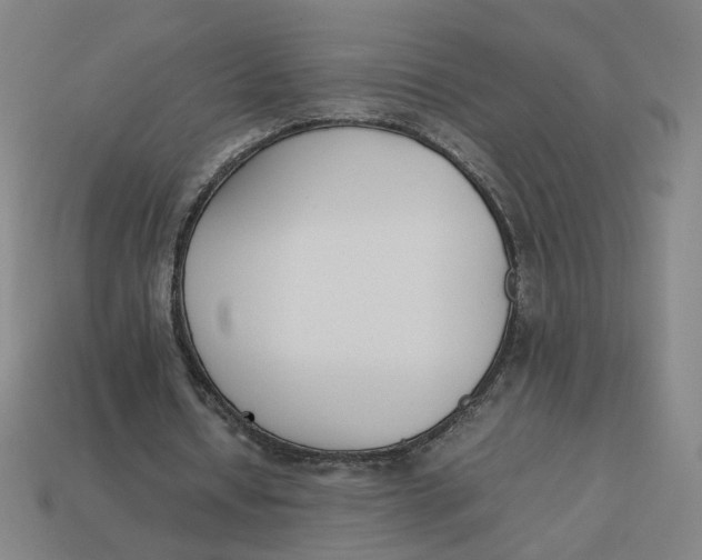 X0000113350434200910061022