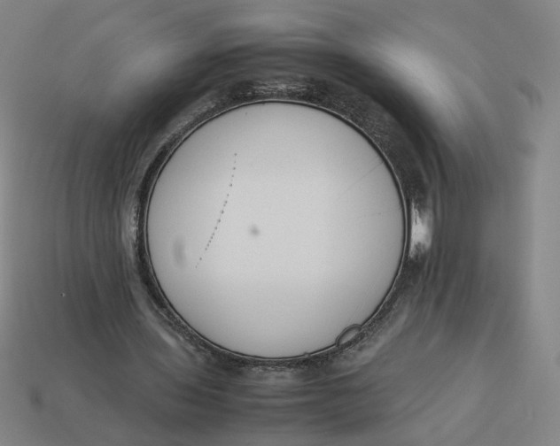 X0000113350435200910061022