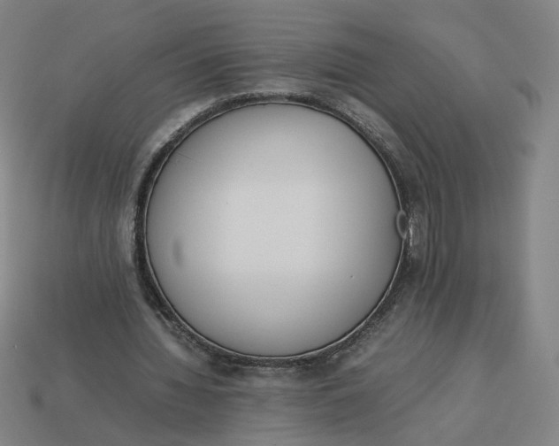 X0000113350436200910061022