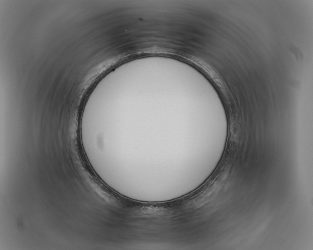 X0000113350437200910061022