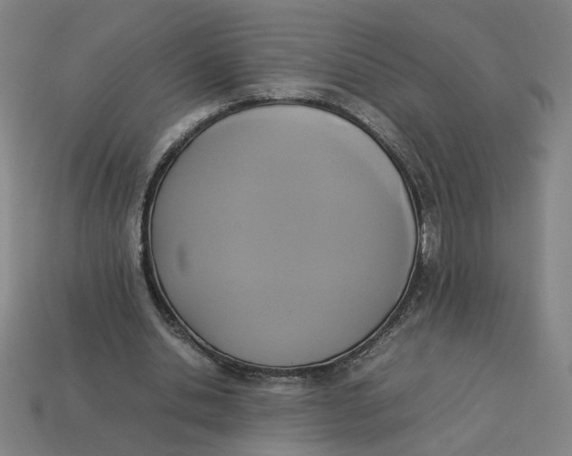 X0000113350438200910061022