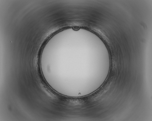 X0000113350439200910061022