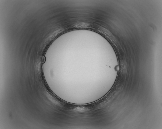 X0000113350441200910061022